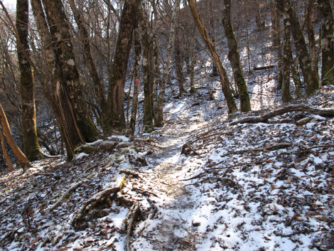 20181214hike (212)